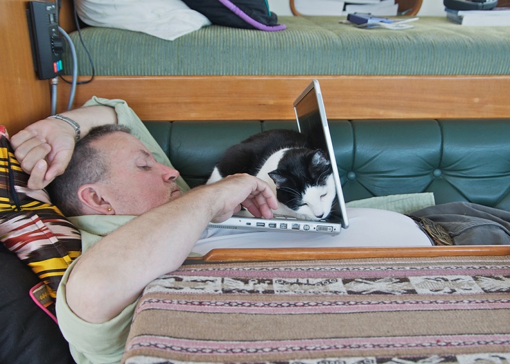 Verwijder kat voor sluiten van computer. Beeld: A.Davey/Flickr