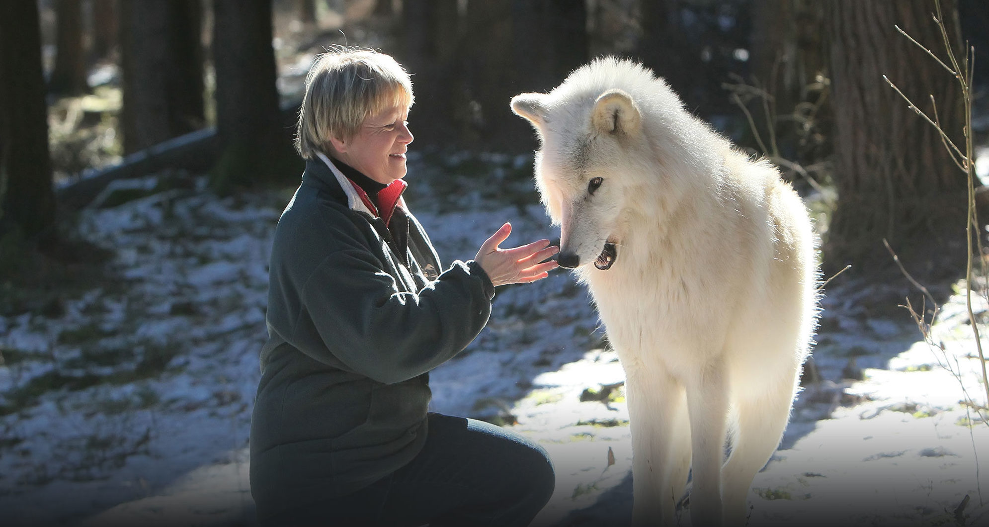 Wandeling Met Wolvenexpert Down To Earth Magazine