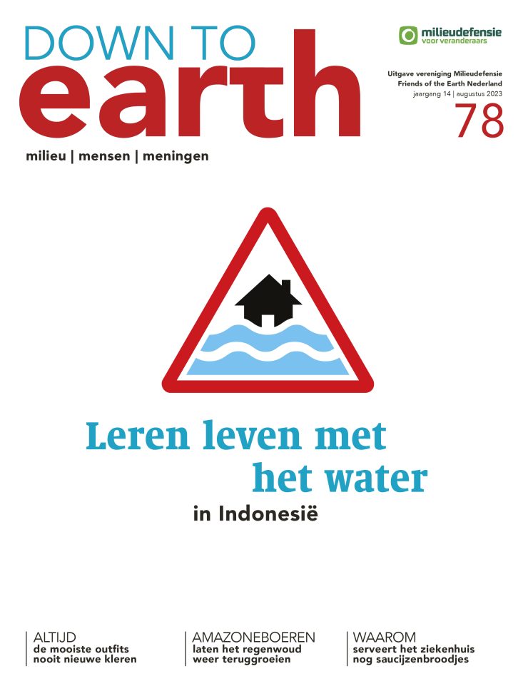 Cover van Down to Earth 78
