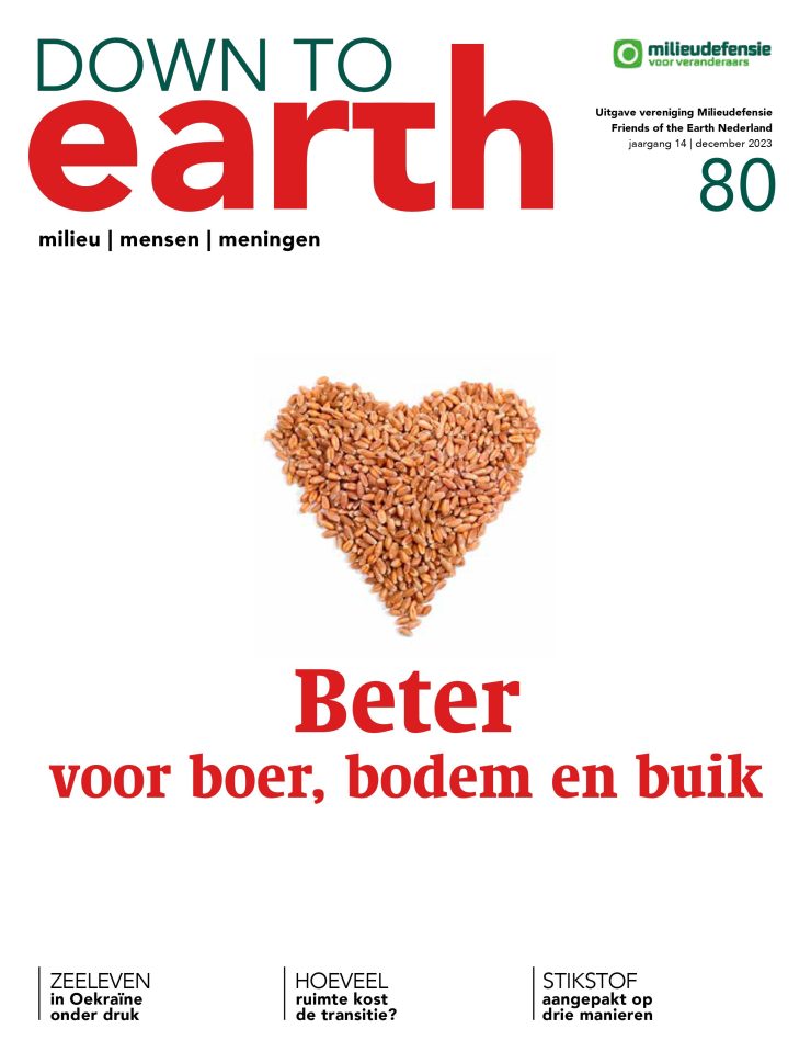 Cover van Down to Earth 80