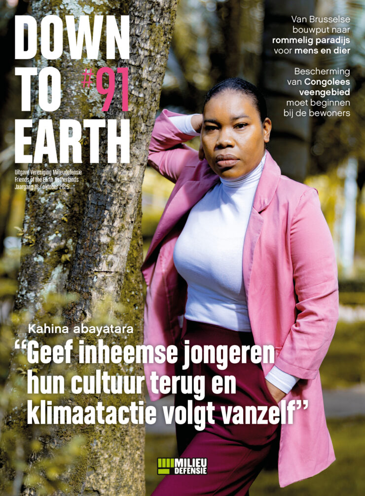 Lees Down to Earth 91