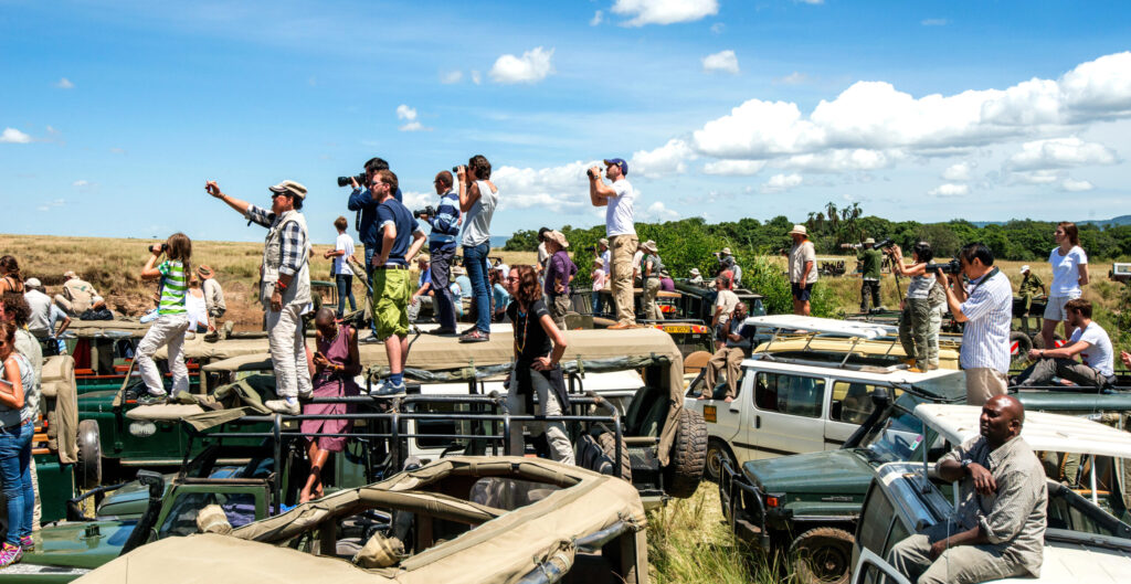 We zien een grote groep jeeps met toeristen, veel met verrekijkers en camera's, die naar iets buiten het beeld kijken. De lokale gidsen zitten verveeld op de motorkappen te wachten.