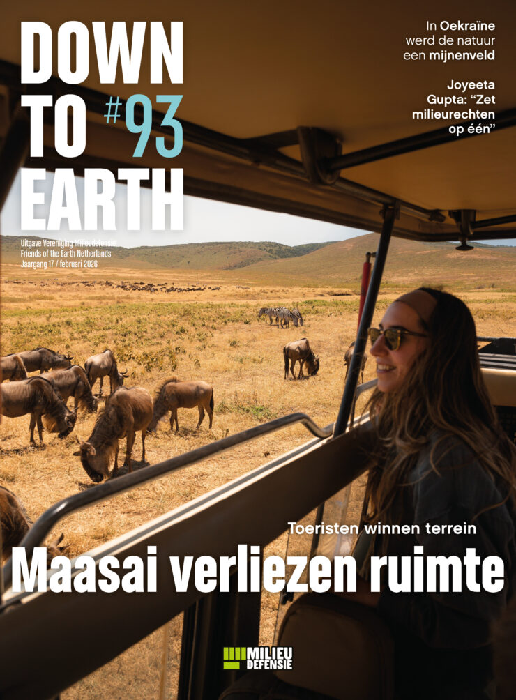 Lees Down to Earth 93