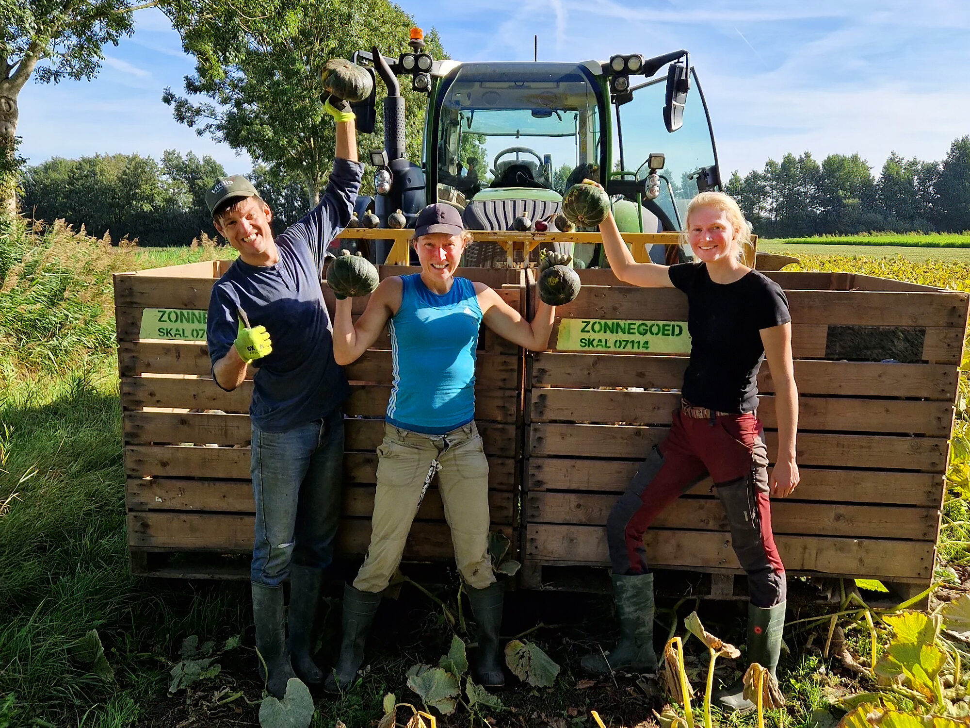 Die medewerkers van boerderij Zonneveld houden geoogste pompoenen omhoog. Ze staan in het pompoen veld, voor een tractor met twee kisten pompoenen voorop.