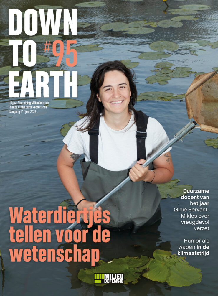 Lees Down to Earth 95