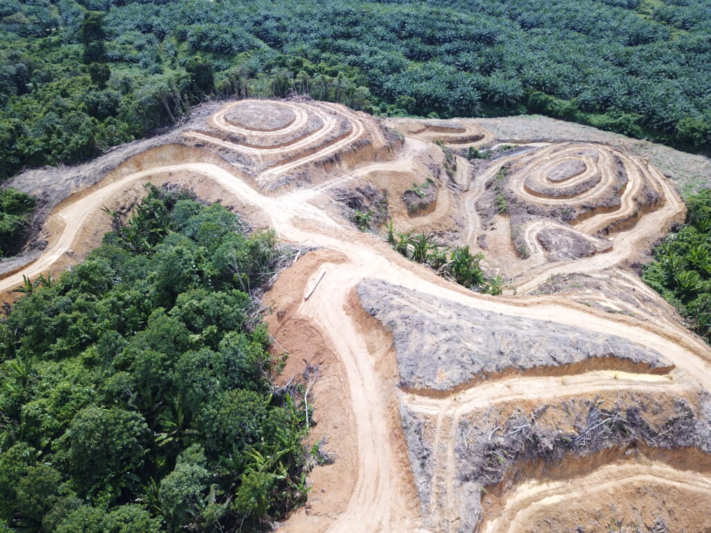 Afgravingen en ontbossing voor een palmolie plantage. We kijken vanuit vogelvlucht over de Amazone. Een heuvel is nog omringt door dicht bos, maar is zelf helemaal kaal gekapt.