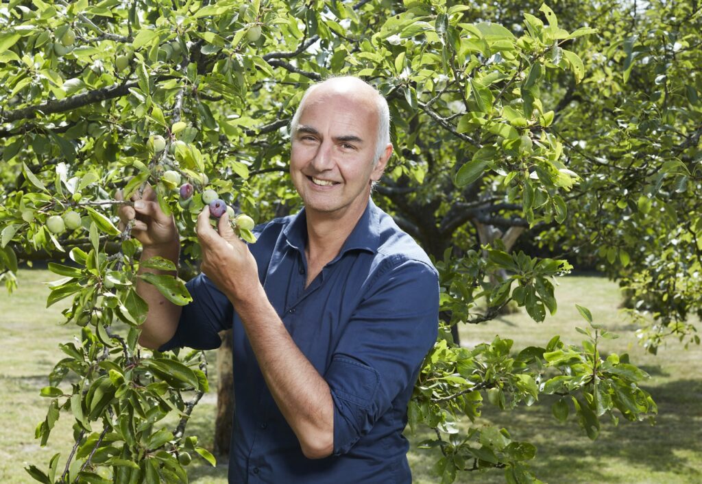 Sjoerd van de Wouw staat in een pruimenboomgaard. Hij kijkt in de camera en houdt een tak met pruimen vast. Sjoerd is een witte man met heel kort grijs haar. Hij draagt een donkerblauw overhemd. 