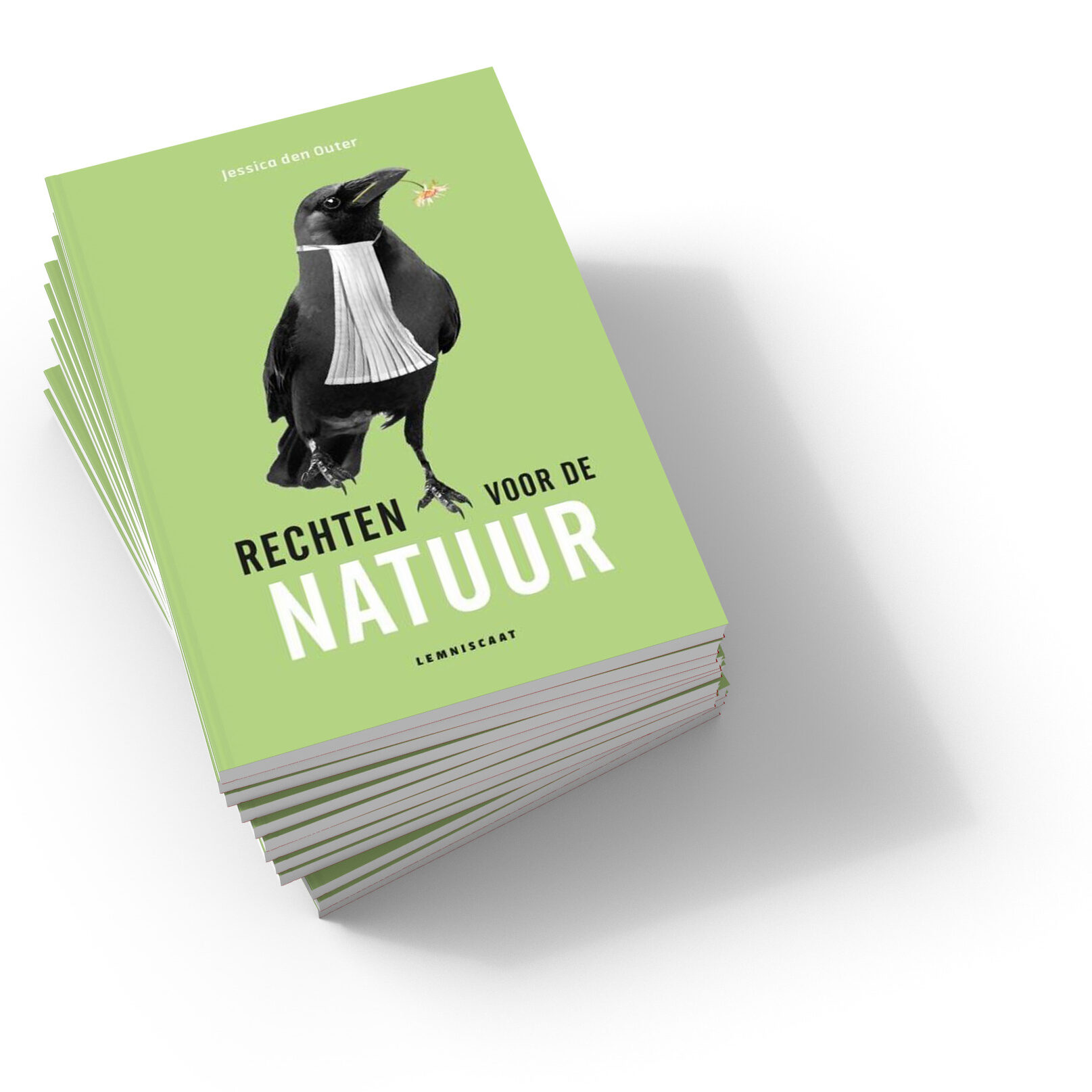 Omslag van het boek 'Rechten voor de natuur' van Jessica den Outer. Een lichtgroene achtergrond, met daarop een kauw in advocatenoutfit. De titel staat er in het zwart-wit op. 